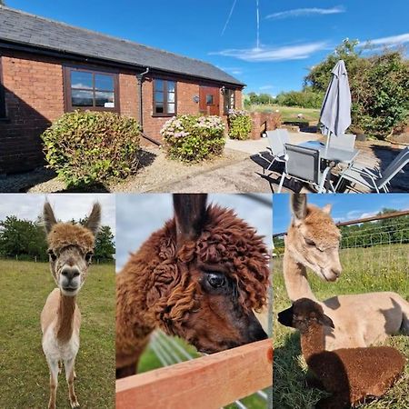Swallows Nest Guest House - With Hot Tub Abergavenny Exterior foto